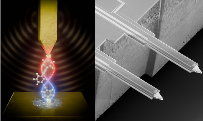 Phonon interference in single-molecule junctions